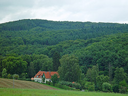 Königstuhl mit Schwalbenmühle